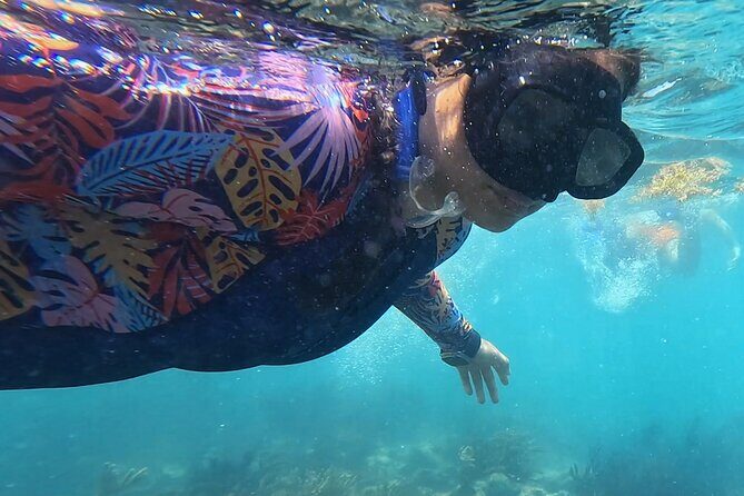 1.5 hours Snorkeling at Tulum's paradise reef - Price and logistics: what you pay up front and what can show up on-site