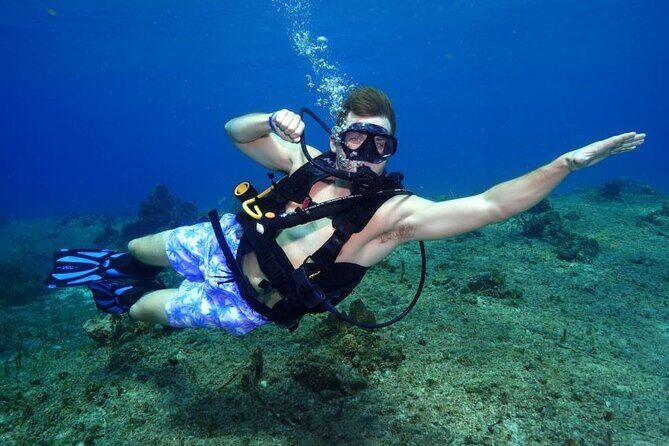 1 Tank Guided Shore Dive Including Equipment - Key highlights (the stuff you’ll feel right away)