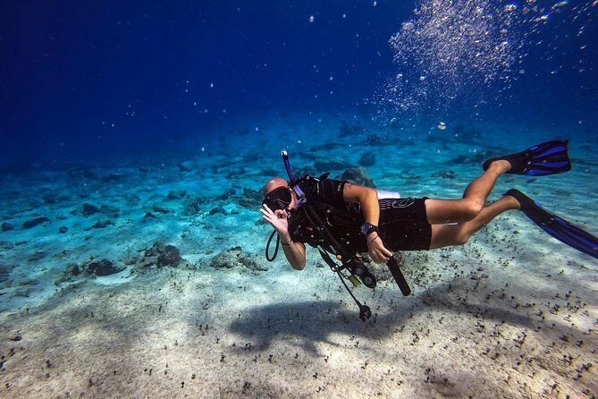 1 Tank Guided Shore Dive Including Equipment - Max depth 35 feet: who this fits (and what kind of pace to expect)