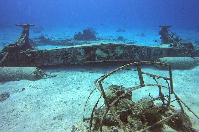 1 Tank Guided Shore Dive Including Equipment - Marine life checklist: moray eels, Caribbean squid, lobsters, and reef fish