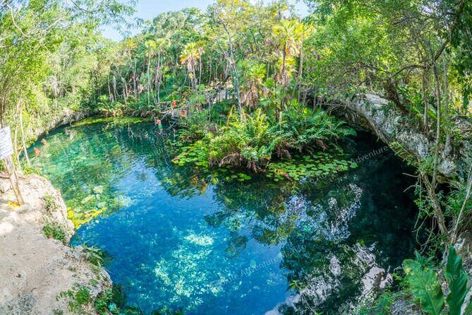 2 Cenotes Private Tour – VIP Adventure with Expert Guide - Stop 1: Cenote Nicte-ha snorkeling with ready-to-go equipment