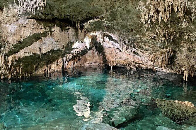 2 Cenotes Private Tour – VIP Adventure with Expert Guide - The guide is the real upgrade: safety, pace, and photos