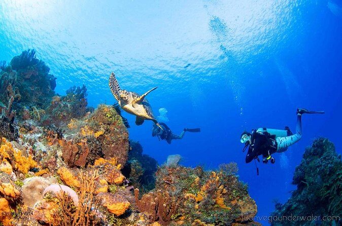 2 Tank Cozumel Reef Boat Dives - The Surface Interval Snacks Are More Than a Treat
