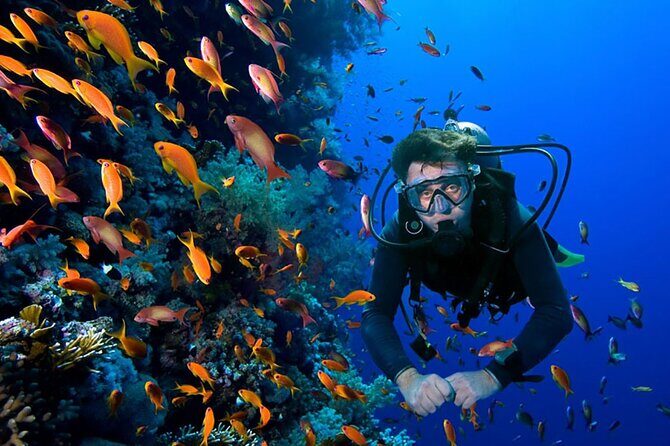 2 Tank Dive in Cozumel - Pickup rules: where Aqua Excursions will actually meet you
