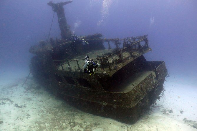 2-Tank Morning or Afternoon Dives in Playa del Carmen certified Divers Only - Price and logistics: what $89 really covers