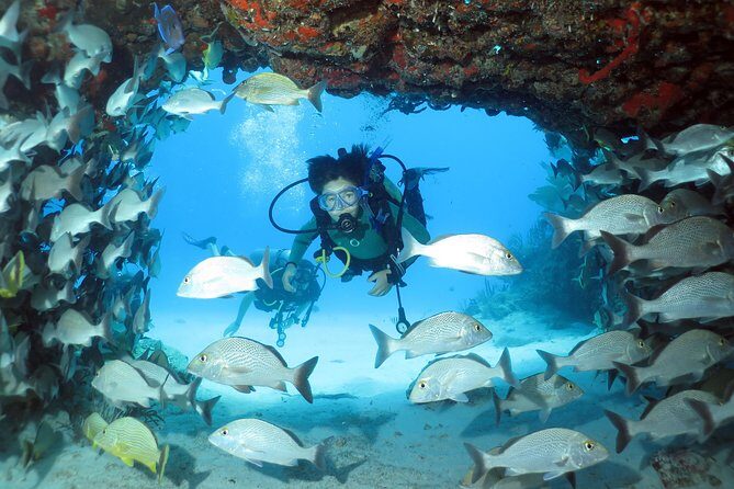 2-Tank Morning or Afternoon Dives in Playa del Carmen certified Divers Only - Who runs the show: supervision, safety, and the crew vibe