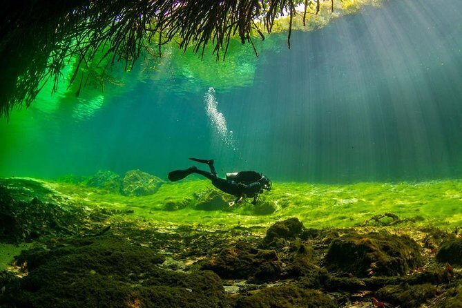 2 tanks Cenote Diving Adventure in Tulum for Certified Divers - Stop 3: Dos Ojos Cenote — about 40 minutes in cavern
