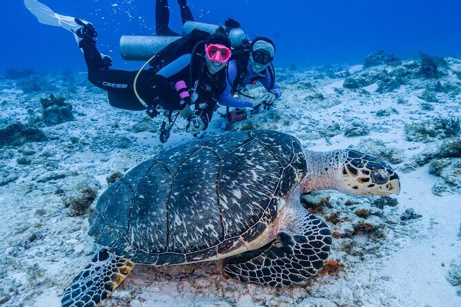 2 Tanks dives for Certified Divers in Cozumel - Where you meet for the 8:00 am boat plan