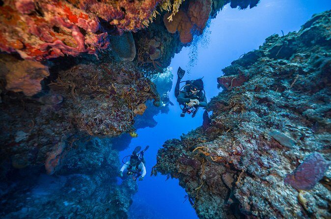 2 Tanks dives for Certified Divers in Cozumel - Second reef site: different location, same wildlife focus