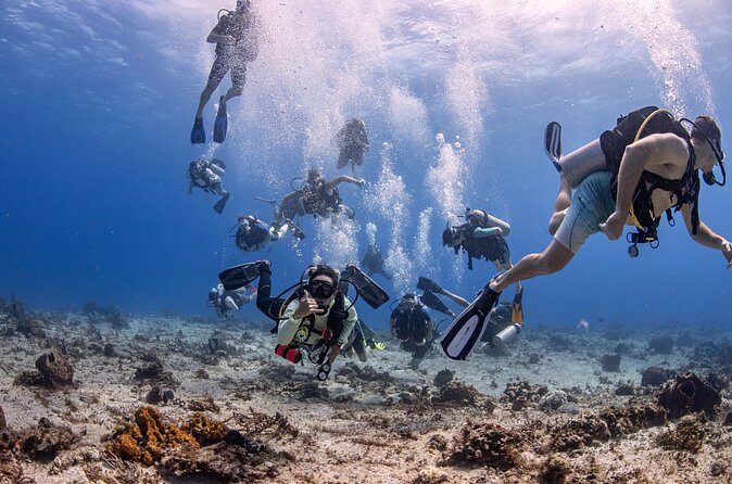 2 Tanks dives for Certified Divers in Cozumel - Small groups and real guide attention (Arianna, Lobo, Lola)