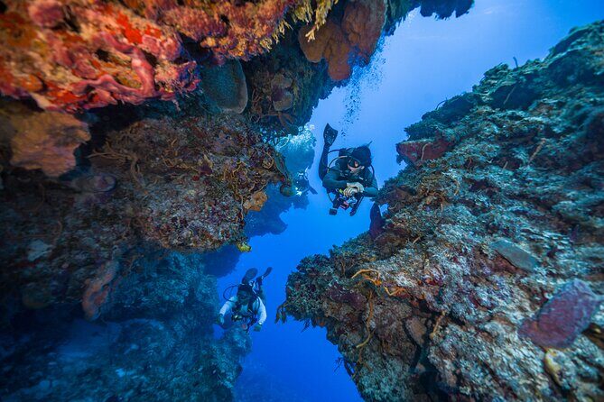 2 Tanks dives for Certified Divers in Cozumel - What marine life you’re most likely to spot