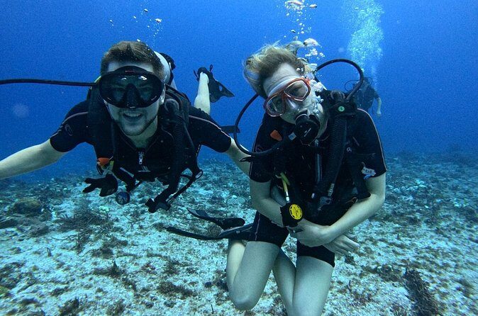 2 tanks for certified divers - Guides, Safety, and the Animals You Can Expect to See