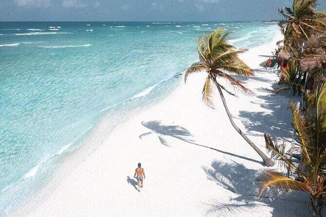 2x1 Tour: Isla Contoy, Isla Mujeres, Open Bar, Lunch and Transfers - Morning logistics from Playa del Carmen: expect an early start