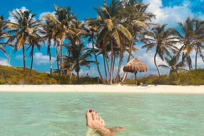 2x1 Tour: Isla Contoy, Isla Mujeres, Open Bar, Lunch and Transfers - Back to Isla Contoy: more nature time after the middle break