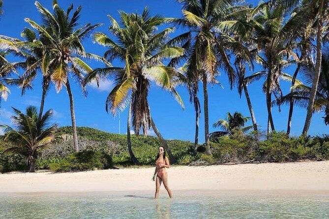 2x1 Tour: Isla Contoy, Isla Mujeres, Open Bar, Lunch and Transfers - Food and drinks: buffet lunch plus open bar on board