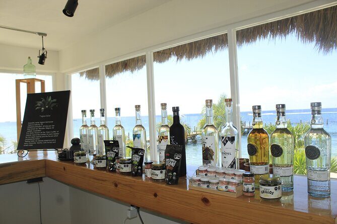 3-Hour Small-Group Mezcal and Tequila Tasting activity from Cozumel - Shopping after you taste: buy what you liked, not what looks cool