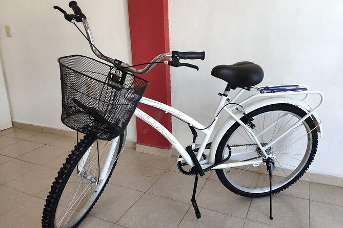 4 to 7 Day Beach Cruiser Rental (Up to 7 Days, includes Ulock) - Bike Basics: No-Gear Comfort and Easy Braking