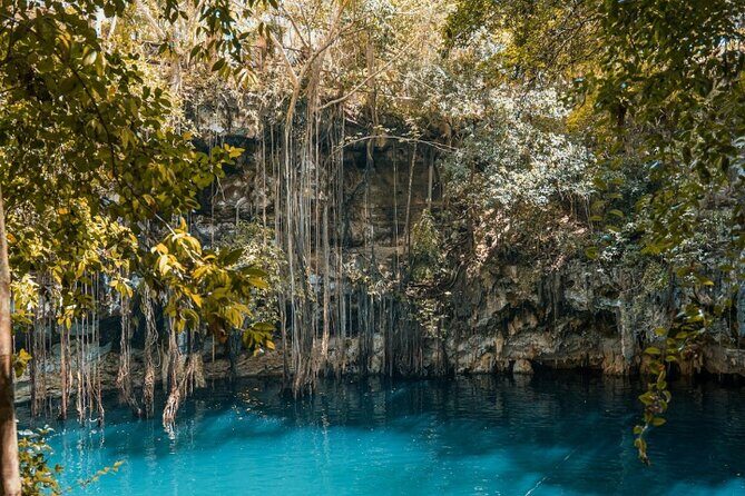 4x1 Explore TULUM Coba, Cenote and Mas, with transportation + Lunch. - Vips Playa Constituyentes: promenade time and a chance to breathe