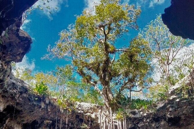 5-Day Riviera Maya and Yucatan Tour, Mexico - Day 4: Chichén Itzá (Wonders-Level), Oxman Cenote, and Valladolid Night
