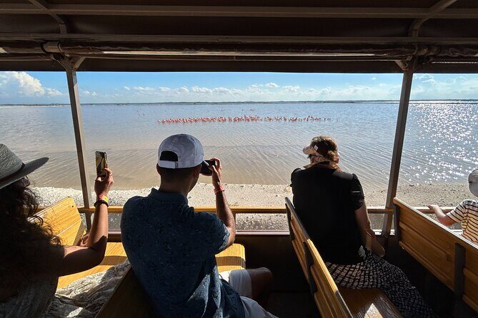 Admission Ticket to Safari in the Pink Lagoons of Las Coloradas - Language and group flow in English