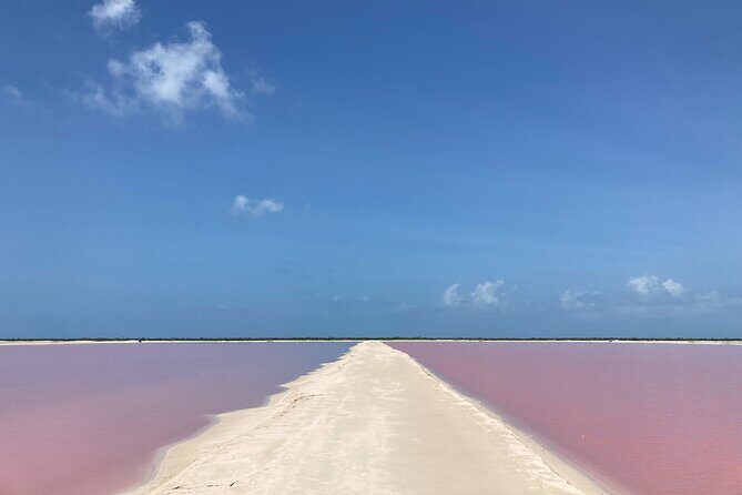 Admission Ticket to Safari in the Pink Lagoons of Las Coloradas - What’s included (and what to bring)