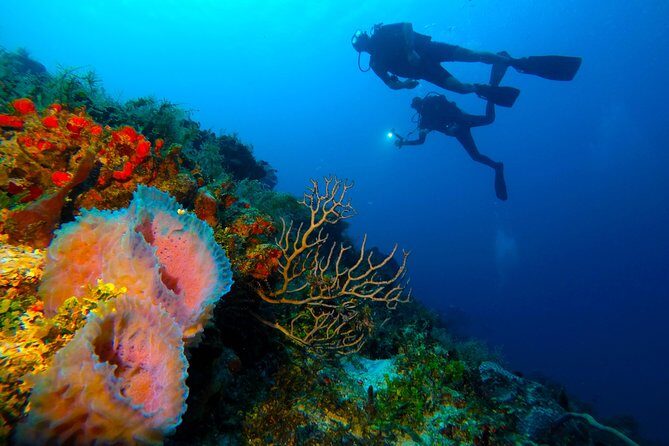 Advanced Open Water Diver course PADI in Playa del Carmen - Underwater navigation with compass, kick-cycles, landmarks, and time