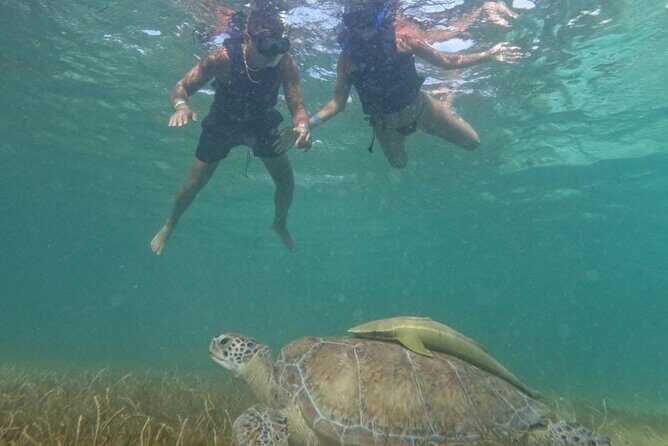 Akumal : Snorkeling with Green Turtles + Photos with GoPro - Who This Tour Fits Best (And When to Pick Something Else)
