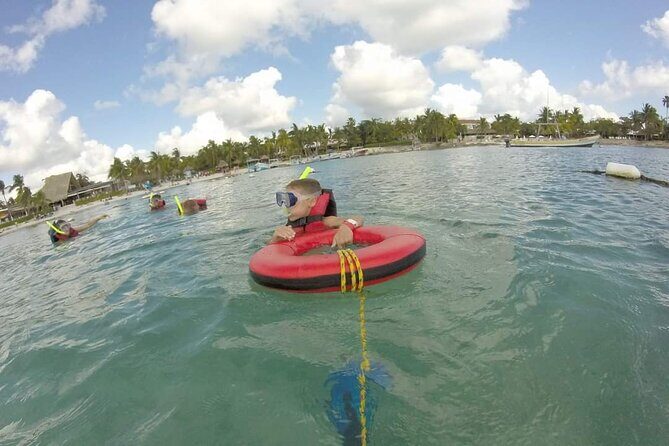 Akumal turtles sanctuary and go pro photos - Wildlife Watching: What You Might See (and what you can’t)