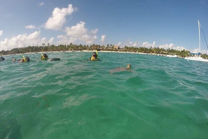 Akumal turtles sanctuary and go pro photos - The GoPro Photo Shoot: Why the Included Package Changes the Value