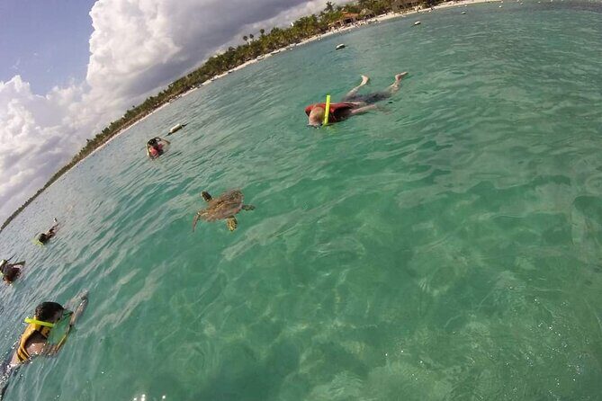 Akumal turtles sanctuary and go pro photos - Stop-by-Stop: What Akumal Beach Time Looks Like