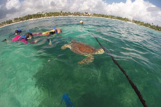 Akumal turtles sanctuary and go pro photos - Pricing and Value: Is $40 Actually a Good Deal?