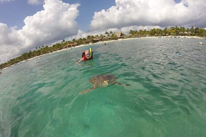 Akumal turtles sanctuary and go pro photos - Logistics That Make or Break the Day