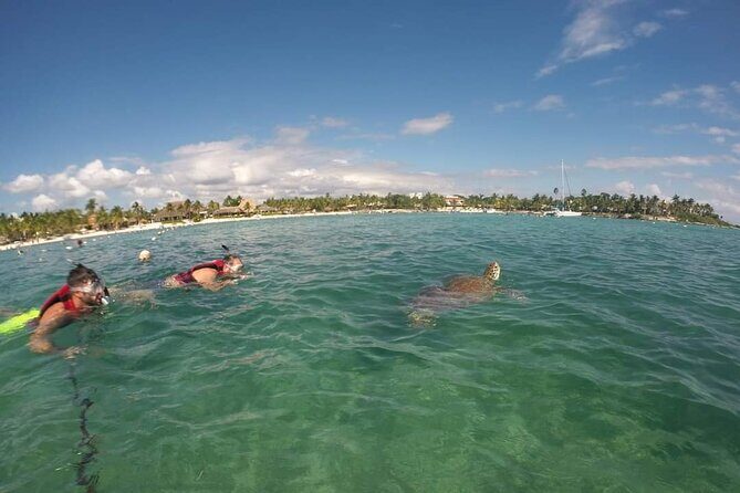 Akumal turtles sanctuary and go pro photos - The Main Event: Swimming the Shore-to-Seagrass Route