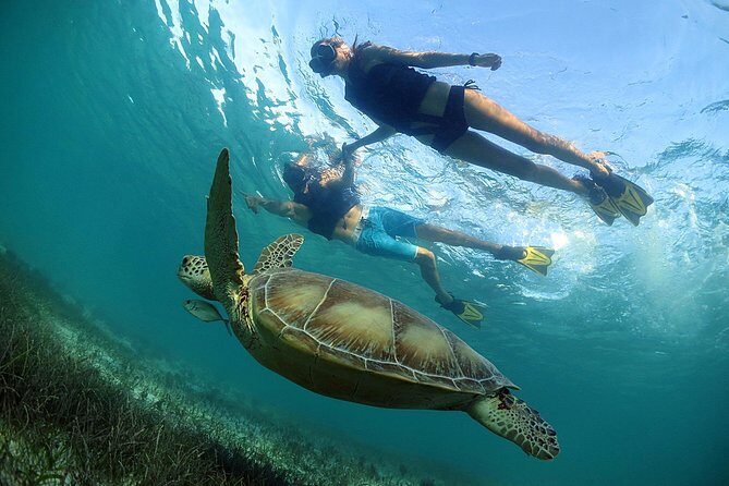 Akumal Turtles, Snorkel Tour from Cancun or Riviera Maya - What you get (and what you should pack anyway)