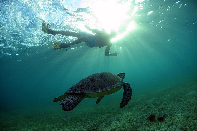 Akumal Turtles, Snorkel Tour from Cancun or Riviera Maya - The ride and the timing: why your day feels packed