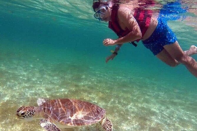 Akumal Turtles Snorkeling and GoPro pictures - The Extra Cost to Budget For: Access Tickets and Federal Tax