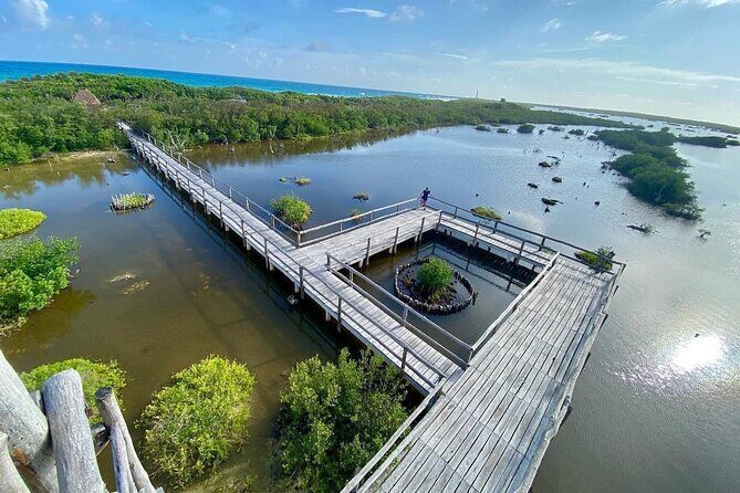 Amazing Jeep Tour Visit Punta Sur Park and San Gervasio Ruins - Punta Sur Eco Beach Park: Colombia Lagoon, Little Ruins, and That Lighthouse View