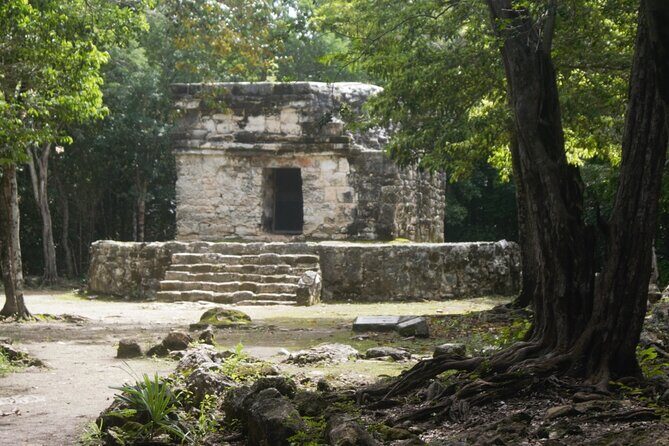 Amazing Jeep Tour Visit Punta Sur Park and San Gervasio Ruins - Price and Value: How the $95 Tour Adds Up With Entrance Fees