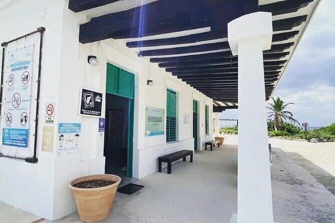Amazing Jeep Tour Visit Punta Sur Park and San Gervasio Ruins - Timing, Group Size, and What Makes the Day Feel Smooth