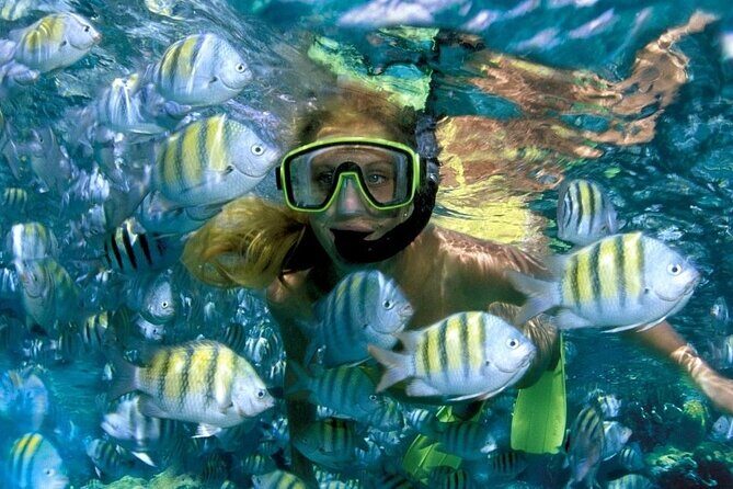 Aquatic Paradise in Tulum: Snorkel Yalku, Swim Cenote & Kaan Luum - Stop 1: Yal-ku Park and Your First Snorkel Session