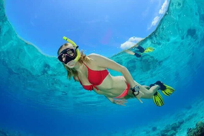 Aquatic Paradise in Tulum: Snorkel Yalku, Swim Cenote & Kaan Luum - The Guide Factor: Names You Can Track in the Feedback
