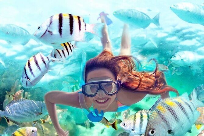Aquatic Paradise in Tulum: Snorkel Yalku, Swim Cenote & Kaan Luum - Pickup and Transport: Where the Day Is Won or Lost