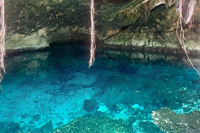 ATV cenote tour Tulum – Mayan Jungle ATV & Cavern Experience - The Two-Line Canopy Zipline: Big Views With One Clear Limit