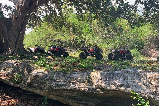 ATV Jungle Adventure to Hidden Mayan Ruins and Caves - Getting to the ATV Headquarters Without Stress