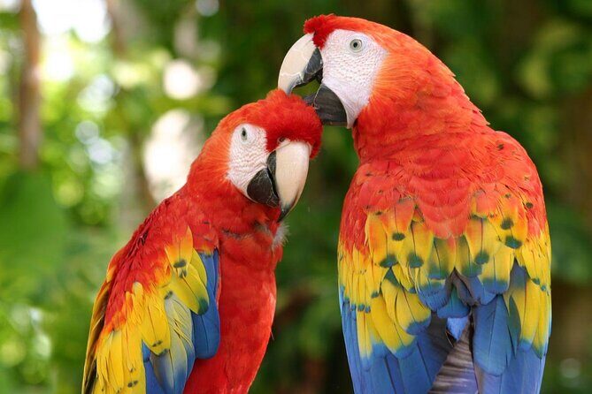 Awesome Tour Day at Xcaret Plus + Transportation from Riviera Maya - Xcaret Plus in 5 minutes: what you’re really paying for