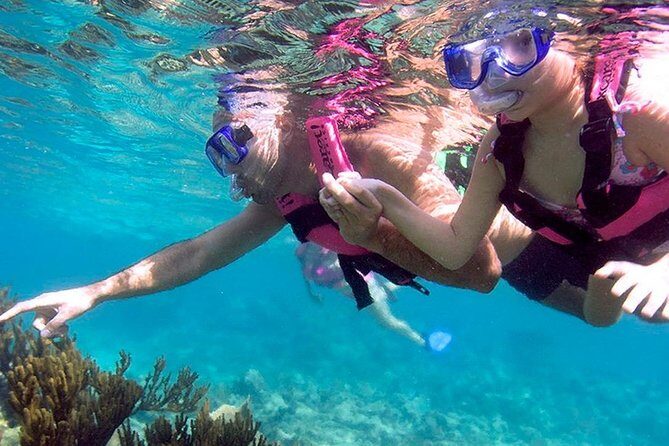 Awesome Tour Day at Xcaret Plus + Transportation from Riviera Maya - Who should book this Xcaret Plus day trip