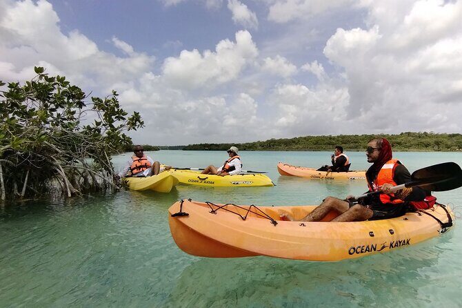 Bacalar Lagoon! Kayaks & Cenote Azul From Playa Del Carmen - Getting There: A 12-Hour Day With a 6:30 am Start