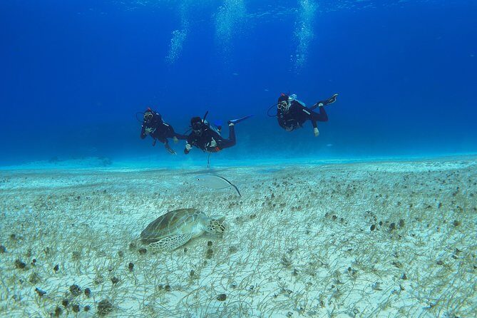 Basic Diver - Bautismo - A first-time scuba start in Playa del Carmen (with training you can actually use)