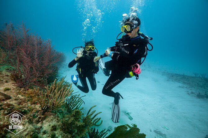 Basic Diver - Bautismo - Theory class: the boring part that makes the ocean feel easy