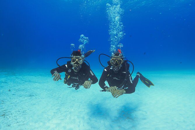 Basic Diver - Bautismo - Meeting point timing and how the day runs